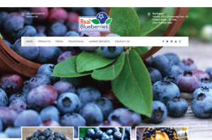Us Blueberries